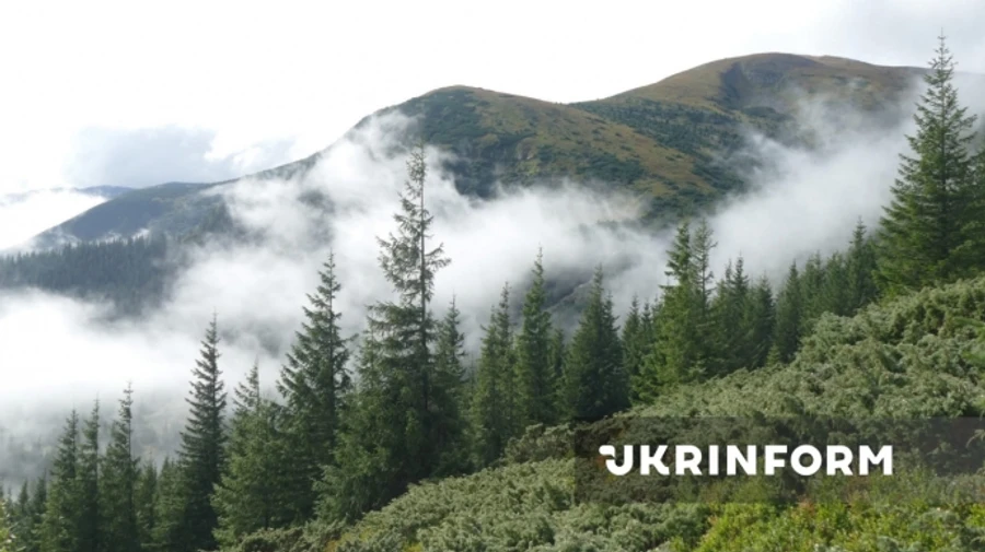 В Україні стане прохолодніше, дощитиме