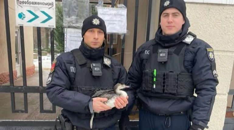 Недавно спасли птицу, а теперь борются за жизнь: что известно о раненых в Одессе полицейских