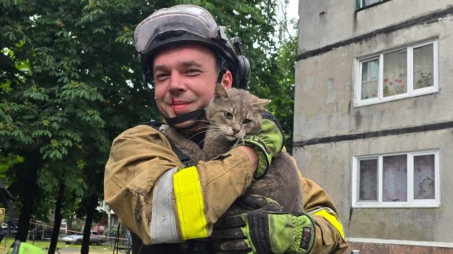 Cat saved after two days under rubble in Donetsk Oblast's Bilozerka