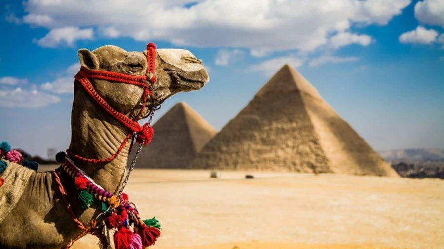 Украина и Египет договорились выдавать друг другу заключенных