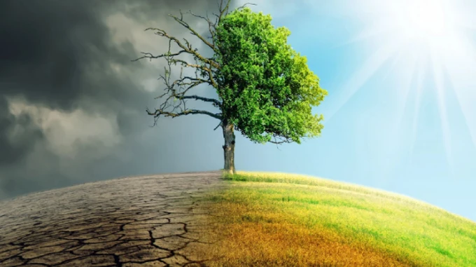 Глобальное потепление в Украине: метеорологи показали, где в Украине стало жарче