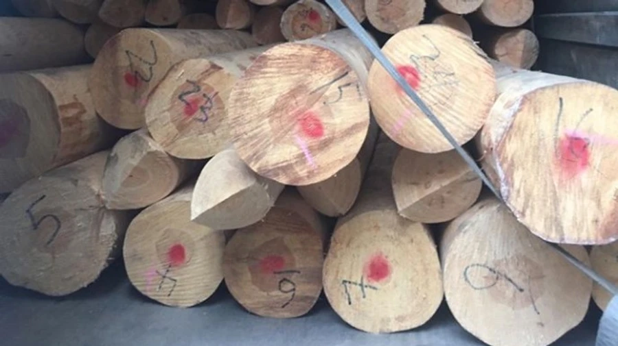 На контрабанді української деревини упіймали грека