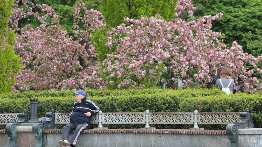 Весна в Киеве закончилась, а лето еще не наступило – метеорологи