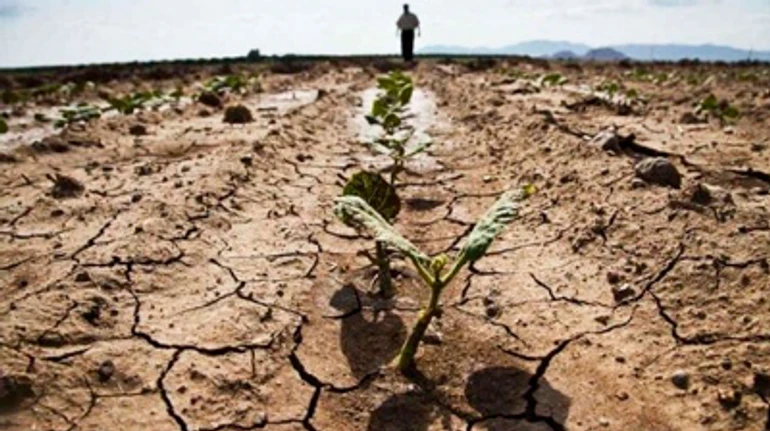 Посуха набирає оберти: що українських фермерів лякає більше, ніж коронавірус та карантин