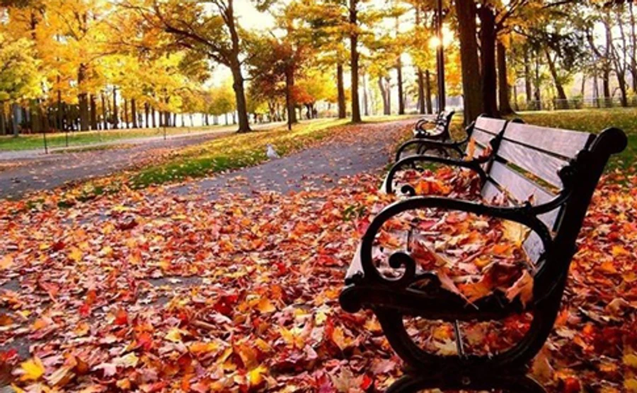 Перші дні листопада порадують теплом і сонцем 