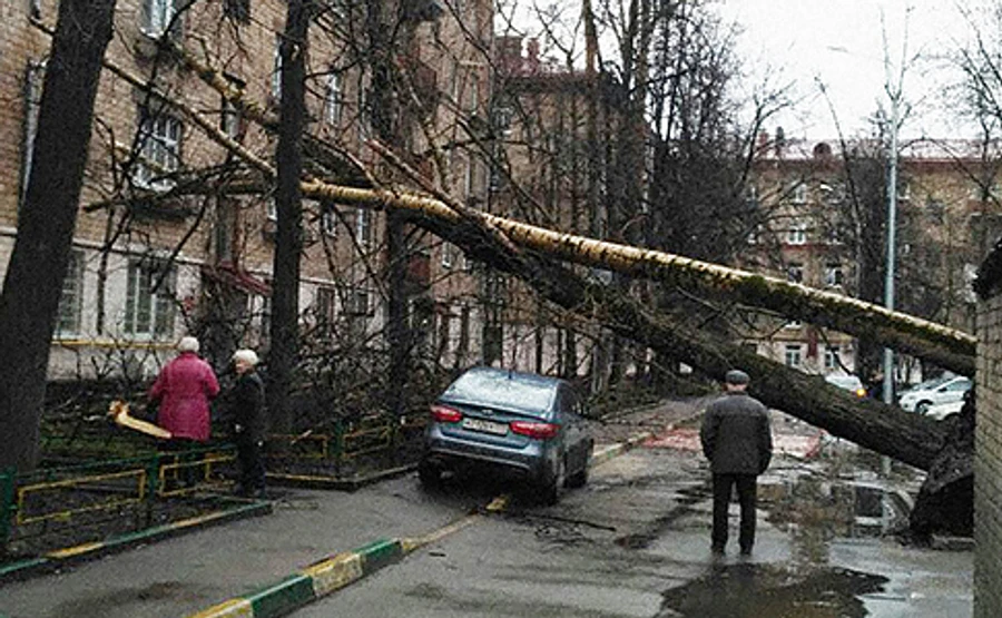 В Москве из-за урагана умер ребенок, есть пострадавшие