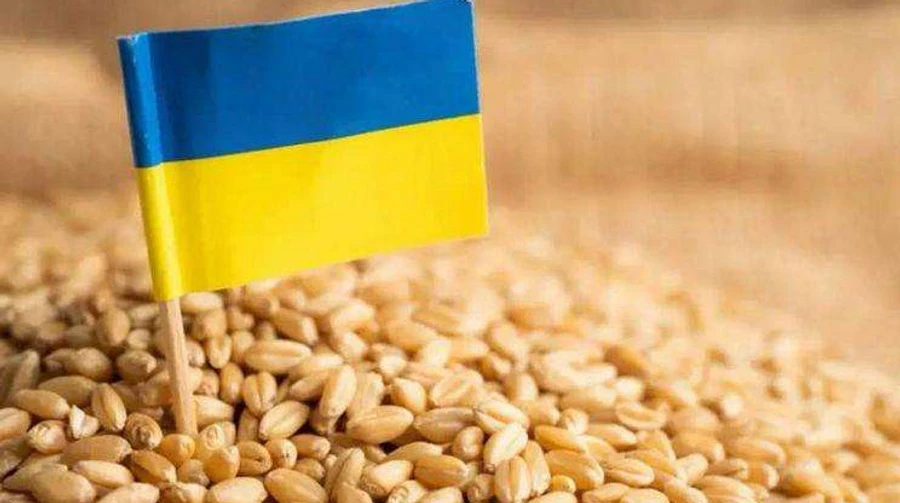 Польша пожаловалась в ЕС на агроимпорт из Украины: просят защитить европейских фермеров