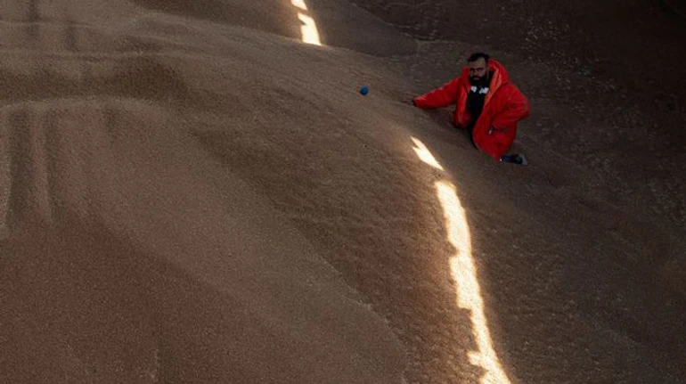 Україна втрачає валюту через чорне зерно. Як влада намагається перекрити схеми з експортом збіжжя