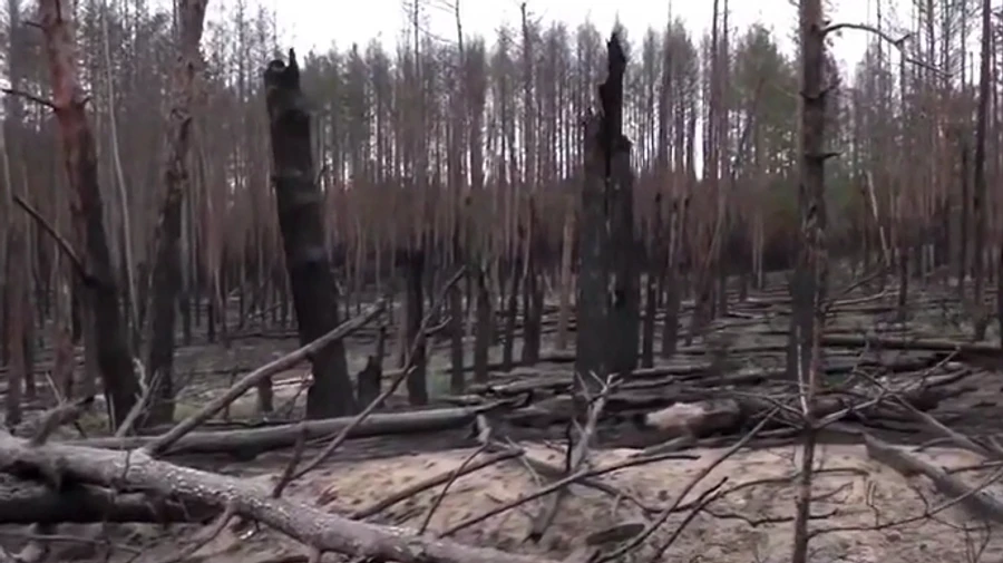 Destroyed dams, hundreds of kilometres of burnt forest: Ukrainian military video shows Kharkiv Oblast after liberation from Russian occupiers
