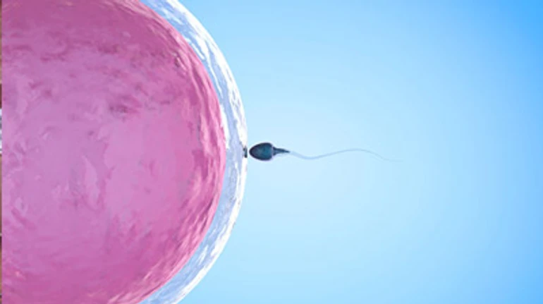 Как происходит искусственное оплодотворение, сколько стоит и риски. Личная история и советы эмбриолога