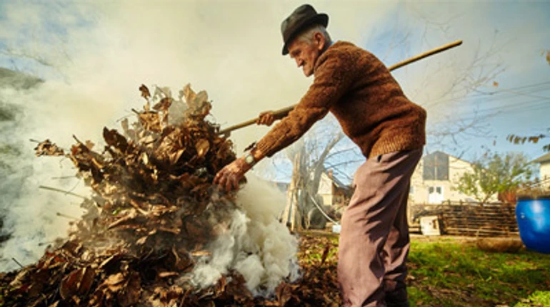 Как бороться с поджигателями листьев и предотвратить масштабные пожары: 5 лайфхаков
