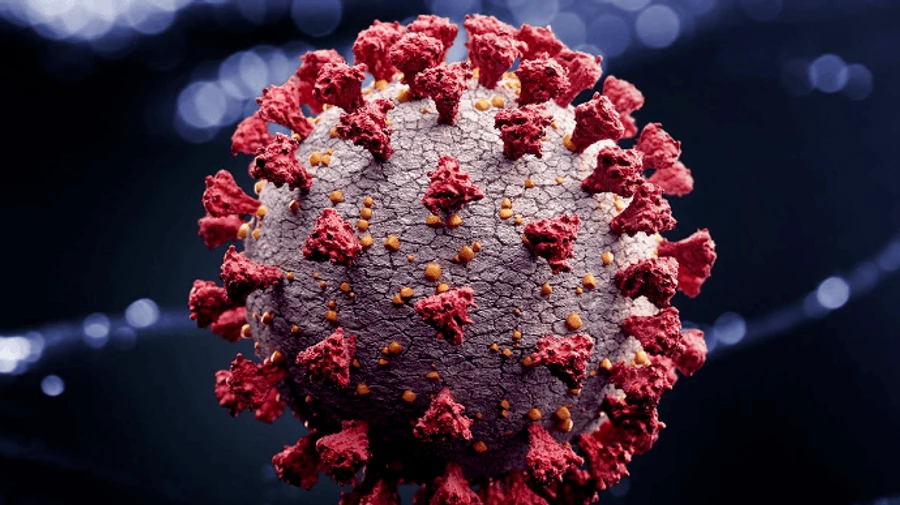 Украина оказалась на шестом месте в мире по ежедневной смертности от COVID-19