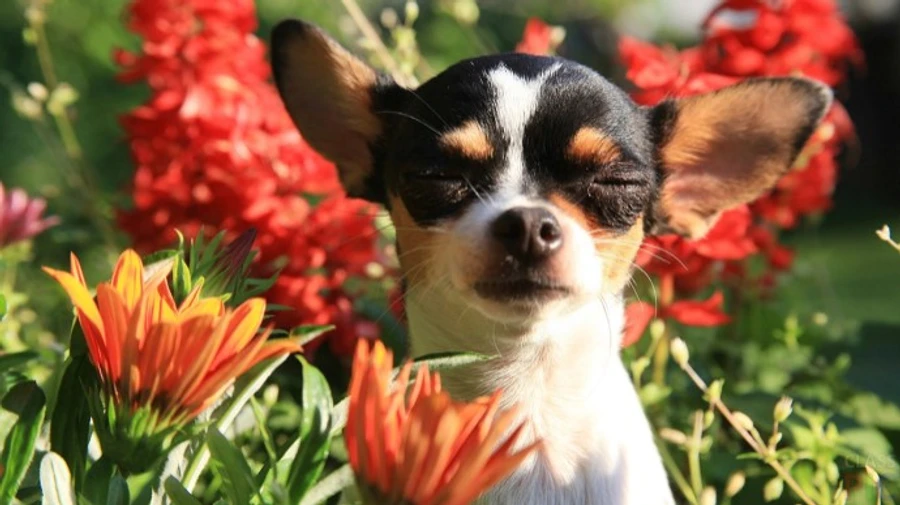 В Украину идет долгожданное потепление