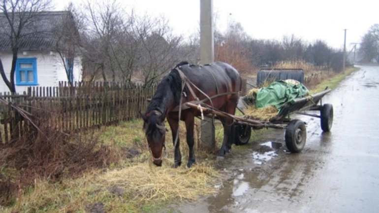 Зеленский запускает программу для села: админуслуги, спорткомплексы, кинотеатры 