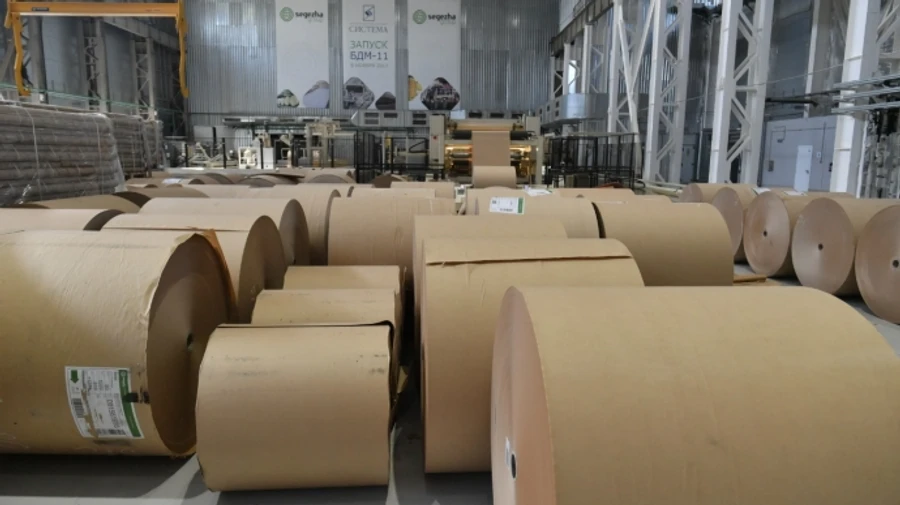 В разведке заявили о глубоком кризисе в бумажной промышленности России