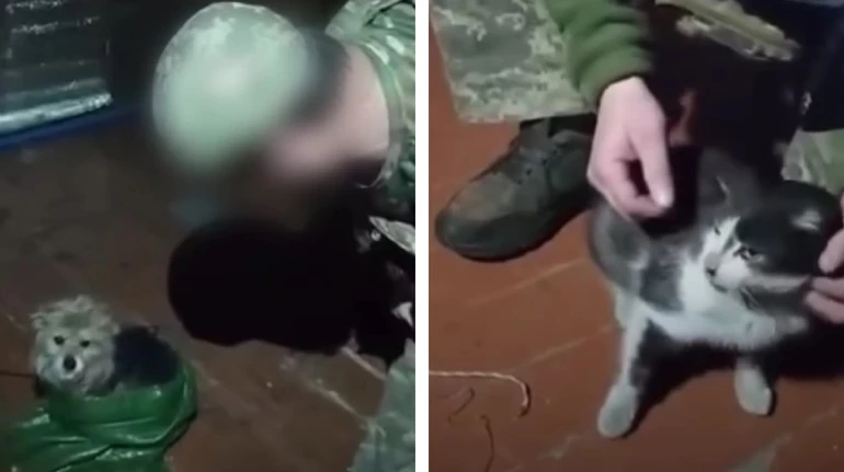 Военные с помощью дрона эвакуировали с позиций кота и собаку: животные пролетели 12 километров