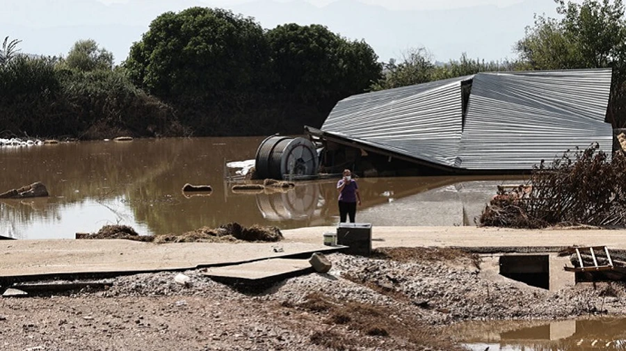 В Греции из-за шторма погибло более 200 тысяч животных