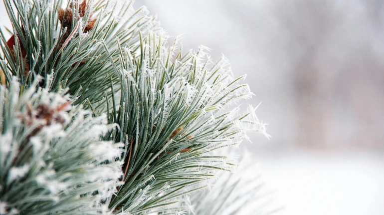 Морози поки не відступлять – прогноз погоди на 3 доби