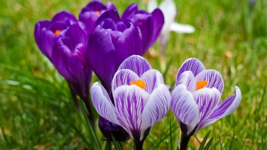 Во вторник ожидаются дожди, а местами грозы