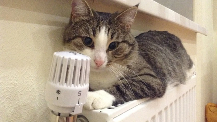 Киев готовится включать отопление: на выходных ждут морозы