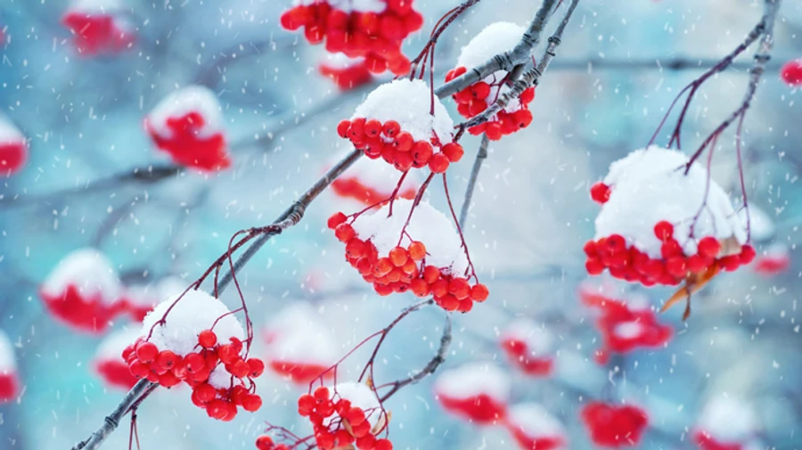 В Украину идет 10-градусный мороз и снег