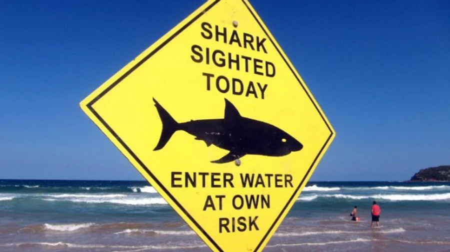 В Египте на украинскую семью напала акула: ребенку не спасли руку