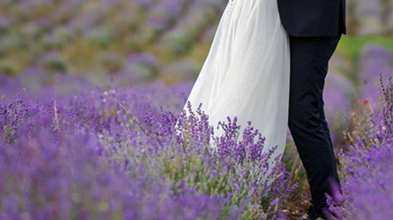 Лавандовий, білий, бостонський та ще 5 видів сучасних шлюбів