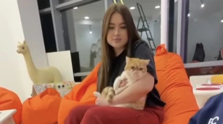 Кототерапия за 500 грн: в Одессе расследуют смерть животных в заведении, которое сдавало животных в аренду