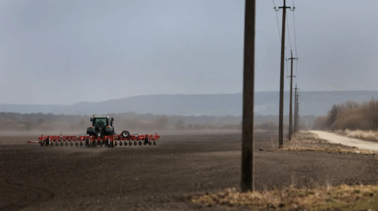 Хлеб и к хлебу. Что сеют аграрии и с какими проблемами сталкиваются