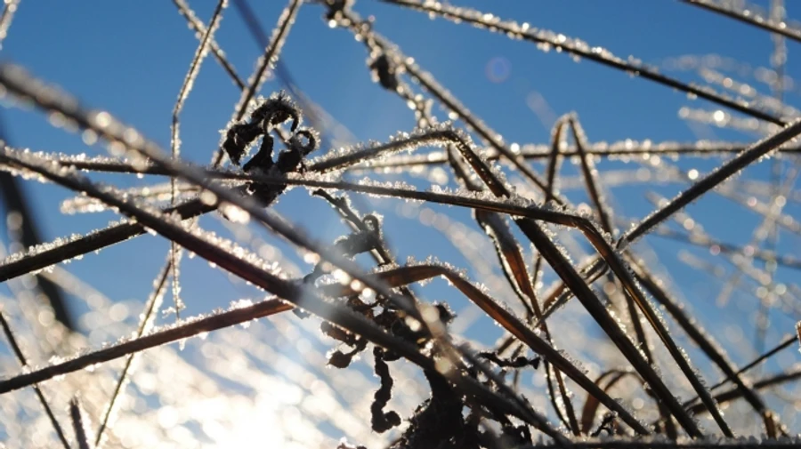 Украинцев ждет прохладный уик-энд – прогноз