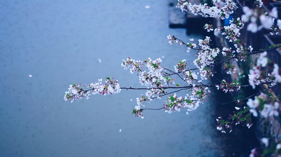 В Украине будет дождливо, пик половодья продлится еще 10 дней – синоптик