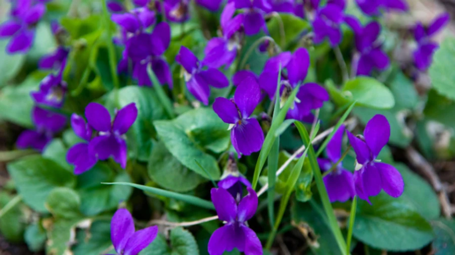 На выходные в Украине будет до +20°