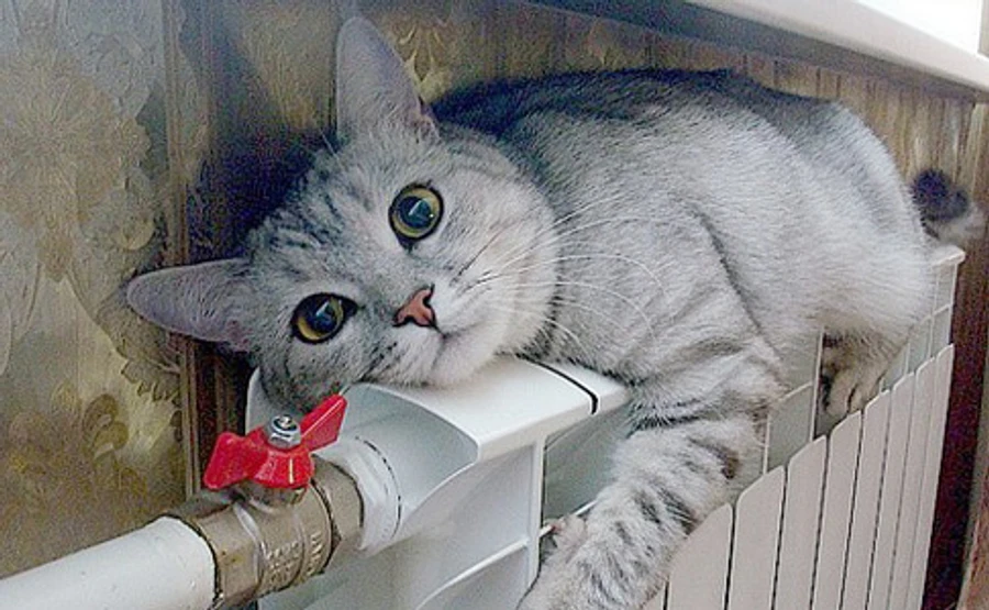 Завищені платіжки за тепло були помилкою, їх перерахують – уряд