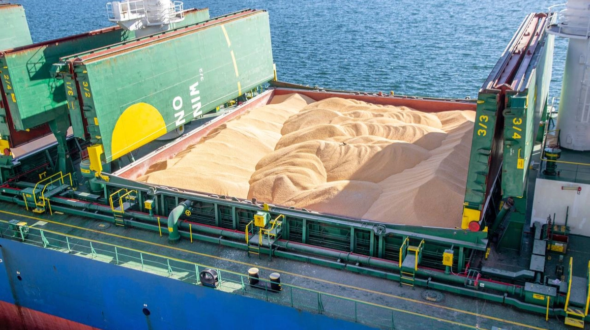 Grain exports via Ukrainian maritime corridor reach 100 million tonnes