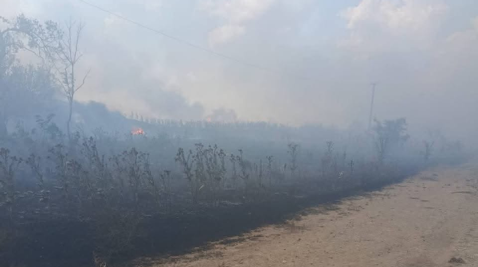 Russians deliberately destroying Ukraine's harvest: farmers outline Russian tactics – photo