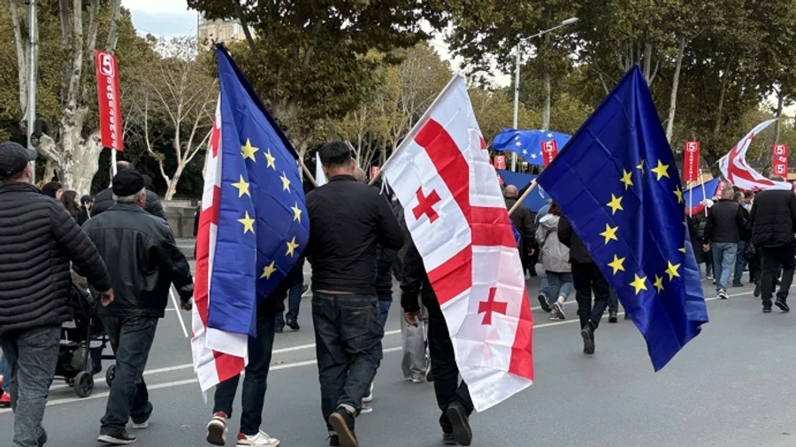 Top parliamentarians from Europe and Canada call on EU not to recognise Georgian election result