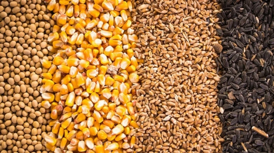 Правительство Латвии утвердило перечень товаров, запрещенных ввозить из России и Беларуси