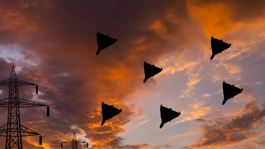 Night attack on Odesa Oblast: Shahed drones damage port infrastructure and grain elevator