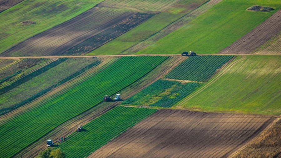 70% украинцев думают, что олигархи скупят большинство земель после открытия рынка