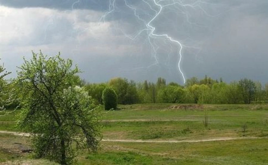 У найближчі дні буде кімнатна температура і грози