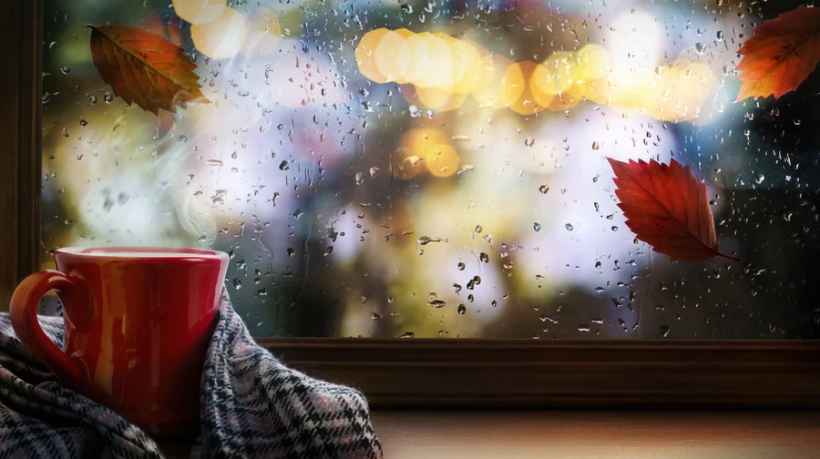 Дощі та холод: синоптики розповіли про погоду на почату тижня