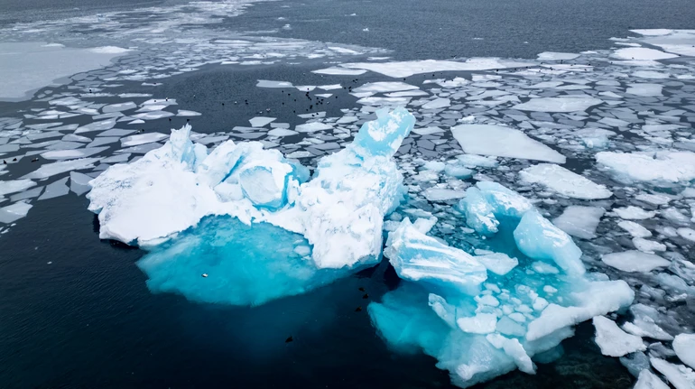 Самая высокая температура за 125 лет: Арктика пережила год рекордной жары и таяния льда