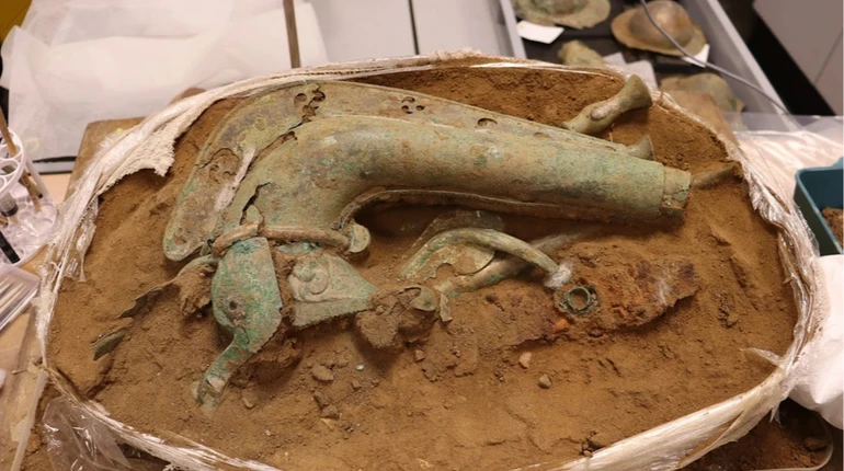 У Британії знайшли кельтський музичний інструмент залізного віку у формі дикої тварини