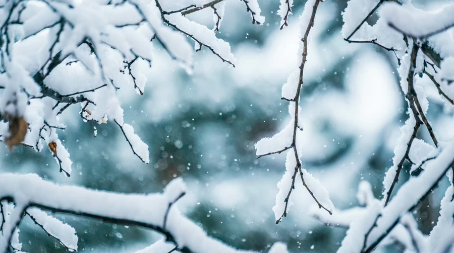 В Україну ще повернеться сніг з дощем