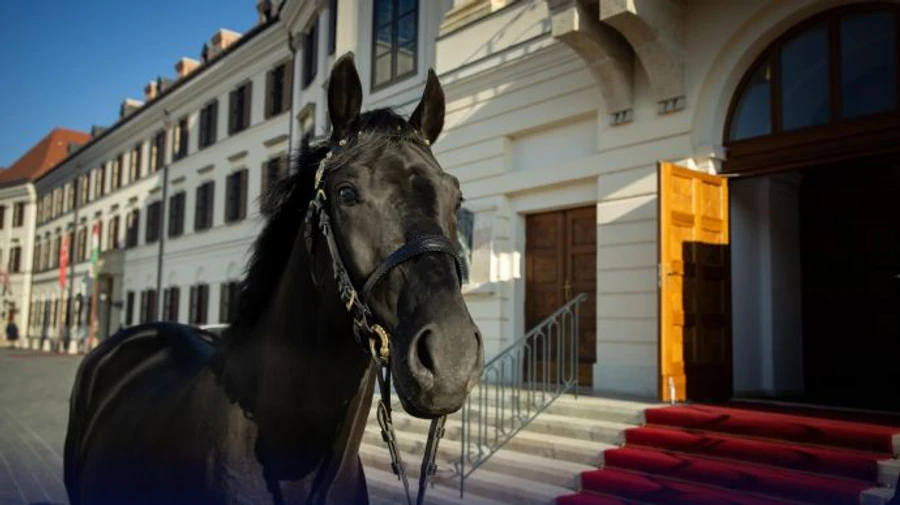 Орбан подарил Эрдогану коня и получил в ответ железного коня