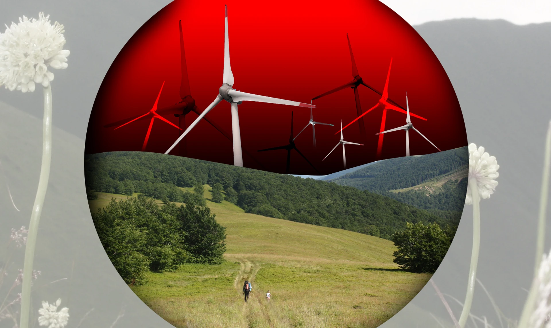 Gone with the wind: why wind farms in Polonyna Borzhava threaten to harm both nature and humans