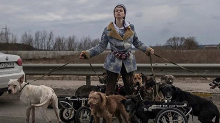 Вони мені як діти. Дітей же не кидають. Історія Анастасії Тихої, яка вивезла з Ірпеня понад 20 тварин