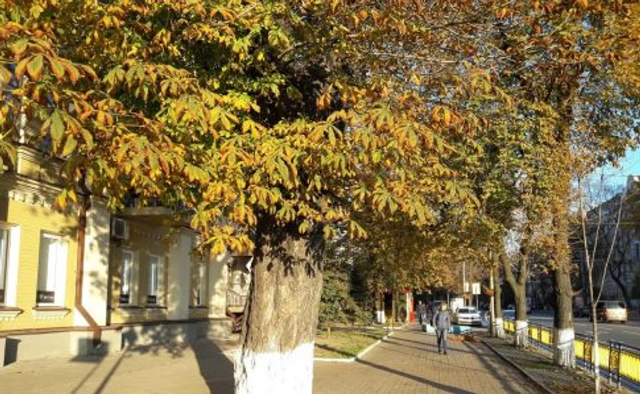 Ласковая погода ждет украинцев в длинные выходные и даже потом