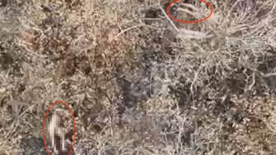 Russian soldiers on Pokrovsk front forced Ukrainian POWs to strip naked and executed them