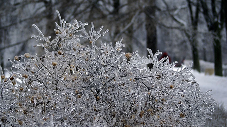 Грудень прийде з дощем і снігом